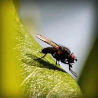 /album/inanzarawer/photolia-a04-jpg/