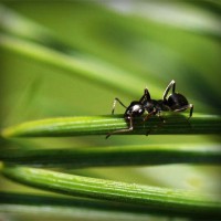 /album/inanzarawer/photolia-a05-jpg/