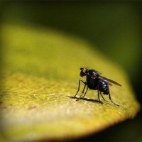 /album/inanzarawer/photolia-a07-jpg/